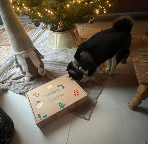 Calendrier de l'Avent Woofmas de KanPaw - KanPaw