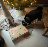 Calendrier de l'Avent Woofmas de KanPaw - KanPaw
