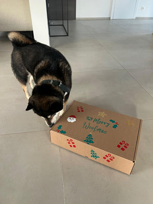 Calendrier de l'Avent Woofmas de KanPaw - KanPaw