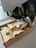 Calendrier de l'Avent Woofmas de KanPaw - KanPaw