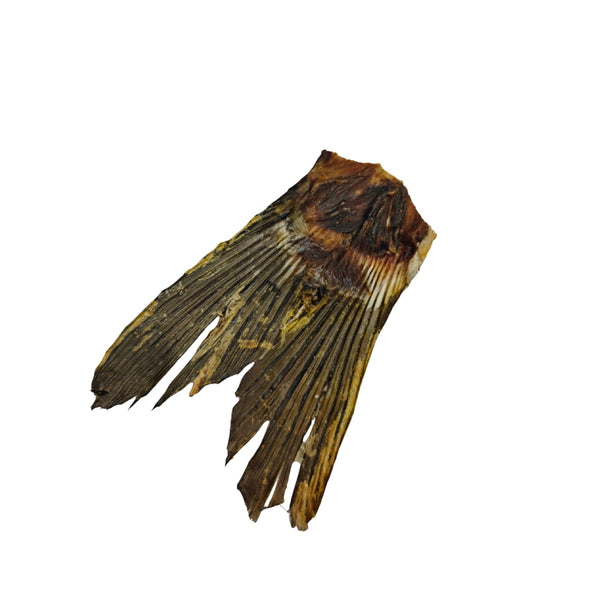 Queue de carpe - KanPaw