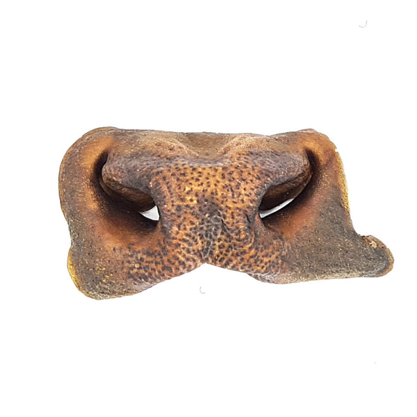 Museaux de bœuf pour chien - KanPaw